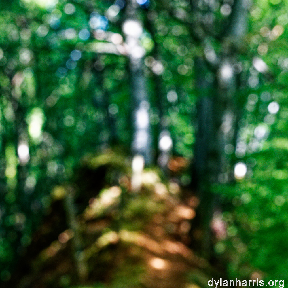 image: This is &lsquo;belvaux (viii) 5&rsquo;.