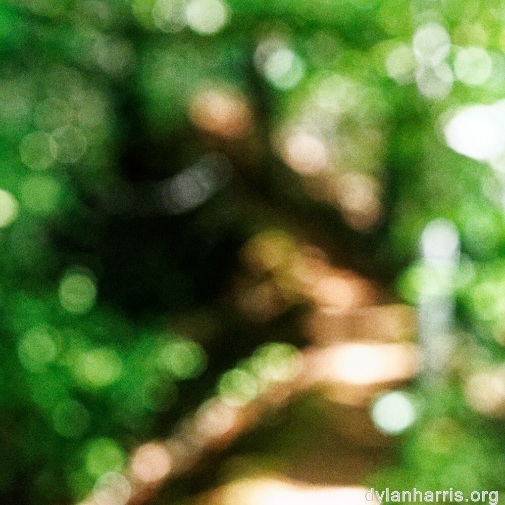 image: This is &lsquo;belvaux (viii) 6&rsquo;.