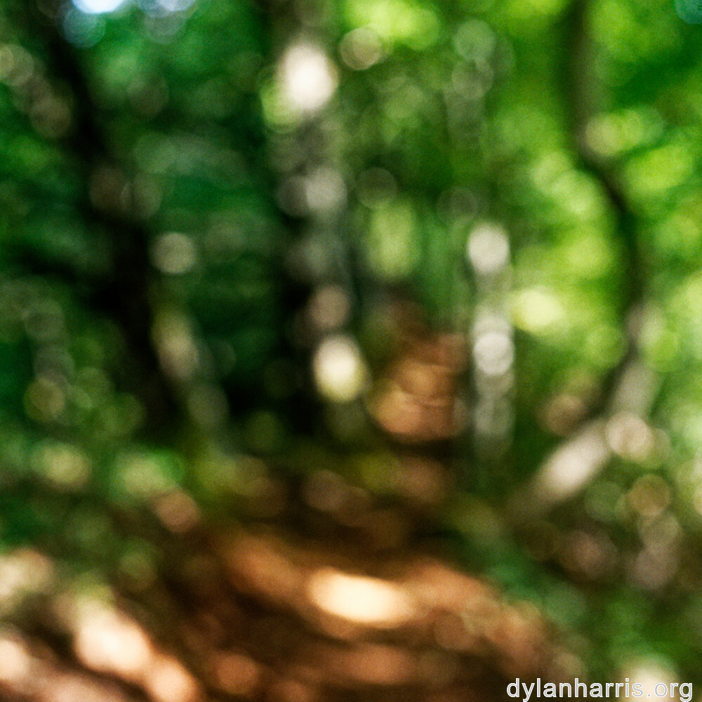 image: This is &lsquo;belvaux (viii) 7&rsquo;.