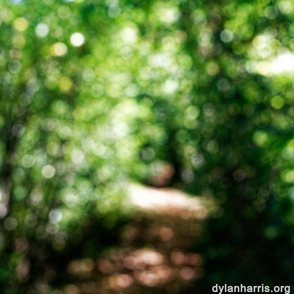 image: This is &lsquo;belvaux (viii) 8&rsquo;.