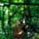 image: Image from the photoset &lsquo;belvaux (viii)&rsquo;.