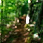 image: Image from the photoset &lsquo;belvaux (viii)&rsquo;.