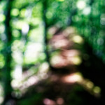 image: Image from the photoset &lsquo;belvaux (viii)&rsquo;.