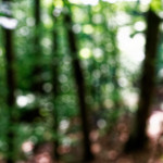 image: Image from the photoset &lsquo;belvaux (viii)&rsquo;.