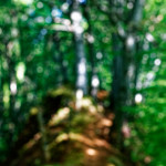 image: Image from the photoset &lsquo;belvaux (viii)&rsquo;.