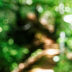 image: Image from the photoset &lsquo;belvaux (viii)&rsquo;.