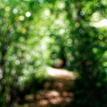 image: Image from the photoset &lsquo;belvaux (viii)&rsquo;.