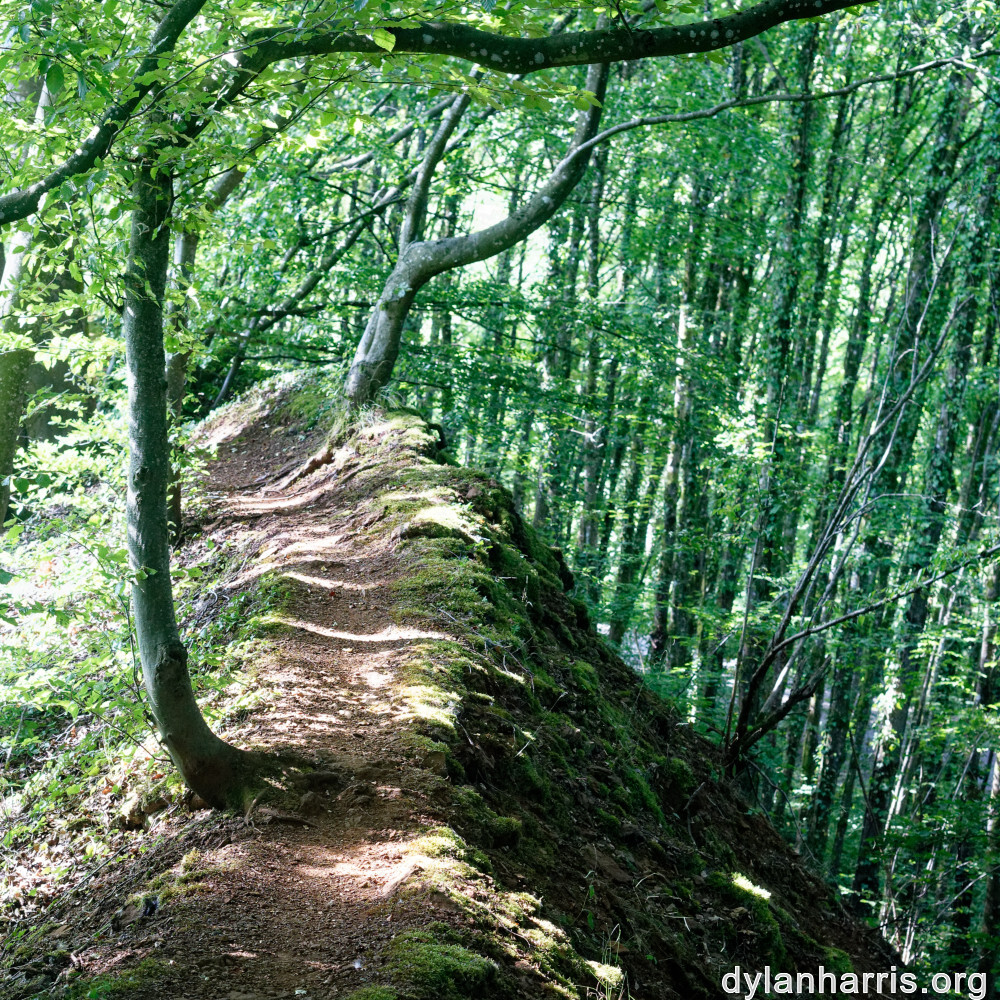 image: This is &lsquo;belvaux (ix) 1&rsquo;.