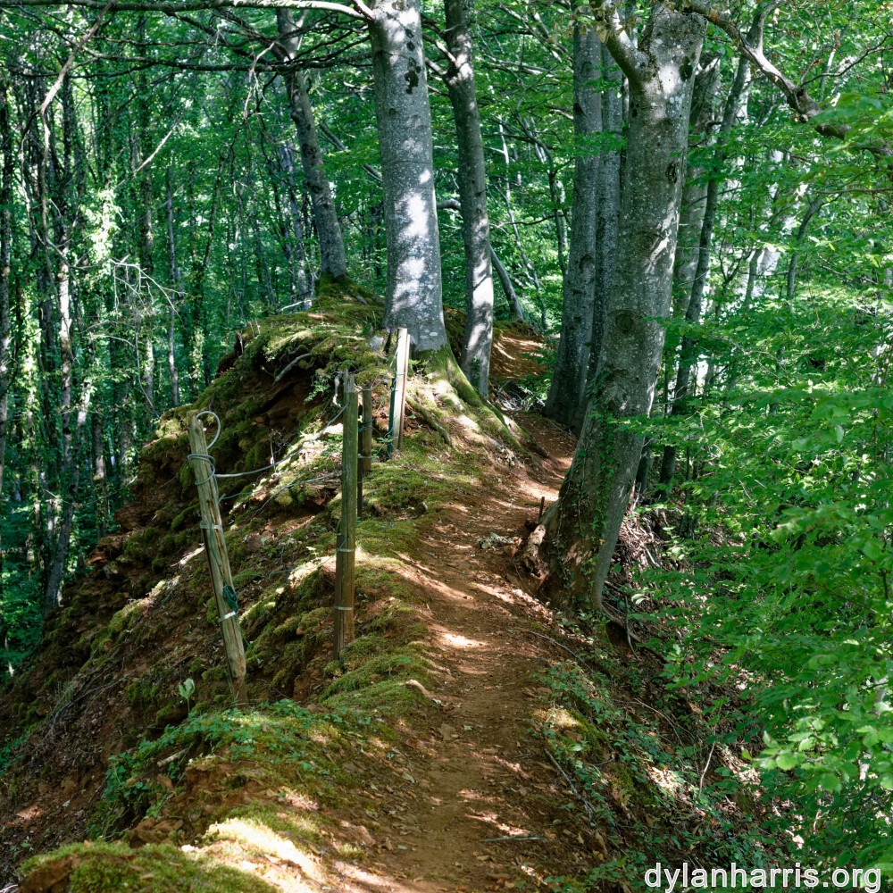 image: This is &lsquo;belvaux (ix) 3&rsquo;.