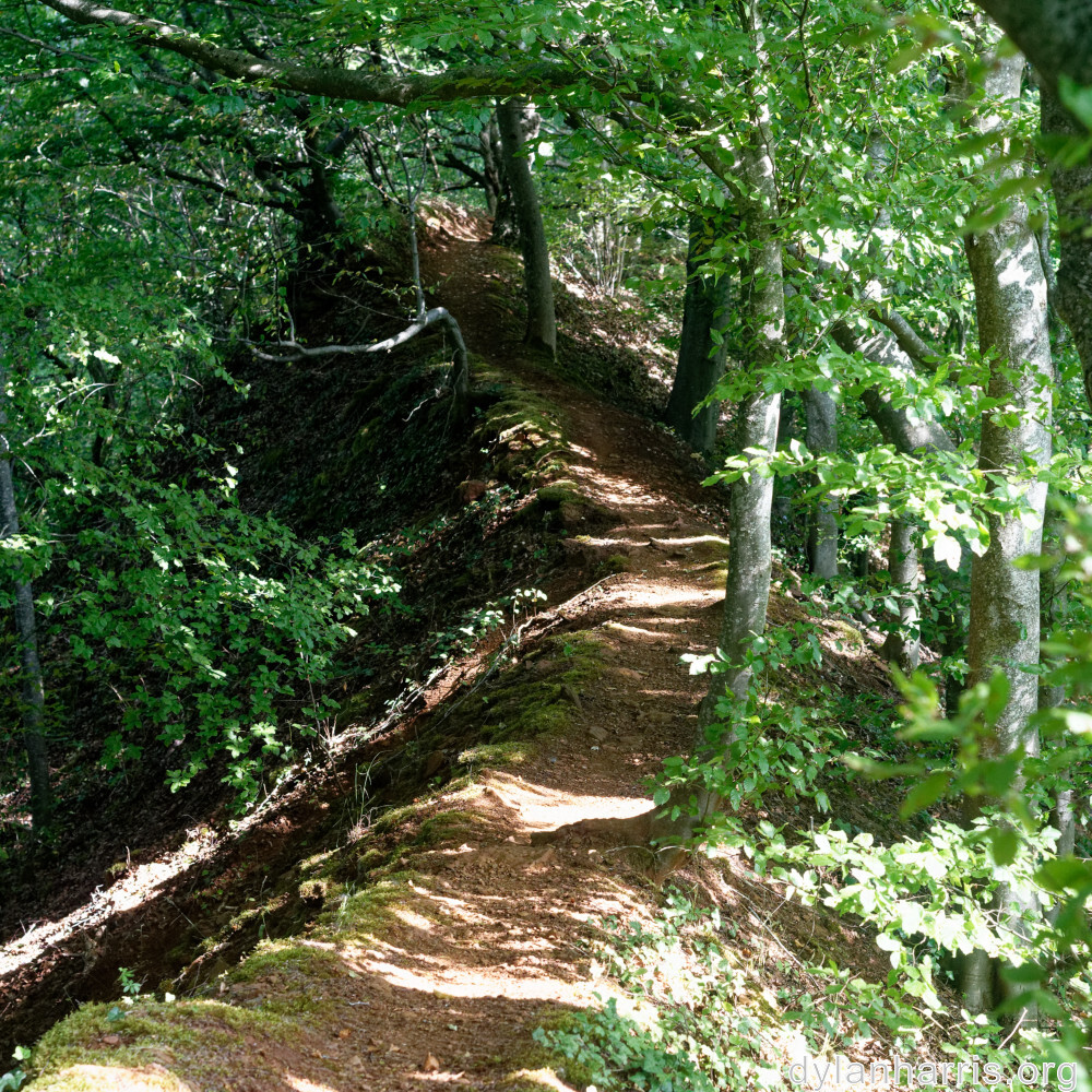 image: This is &lsquo;belvaux (ix) 4&rsquo;.