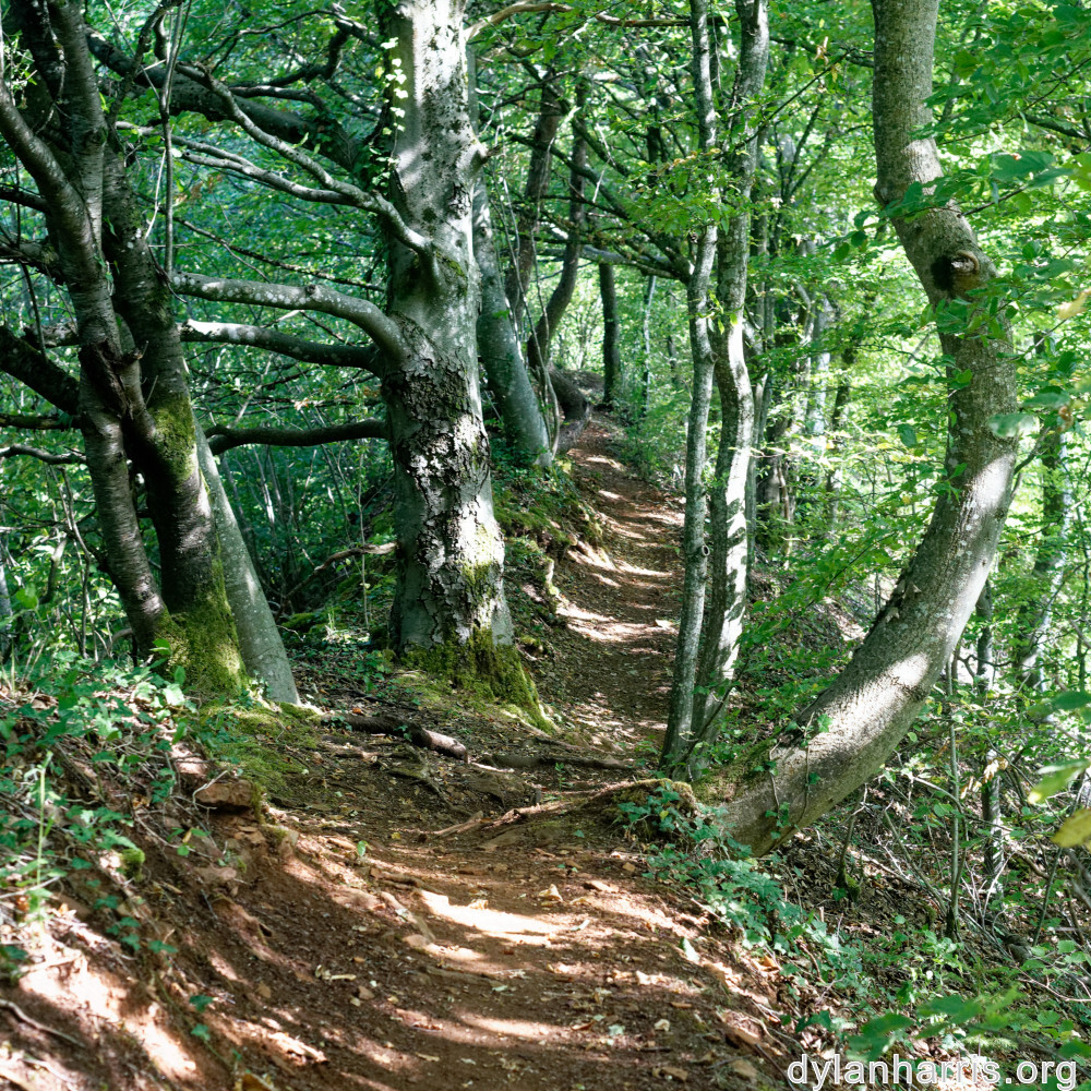 image: This is &lsquo;belvaux (ix) 5&rsquo;.