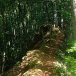 image: Image from the photoset &lsquo;belvaux (ix)&rsquo;.