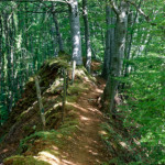 image: Image from the photoset &lsquo;belvaux (ix)&rsquo;.