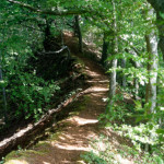 image: Image from the photoset &lsquo;belvaux (ix)&rsquo;.