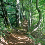 image: Image from the photoset &lsquo;belvaux (ix)&rsquo;.