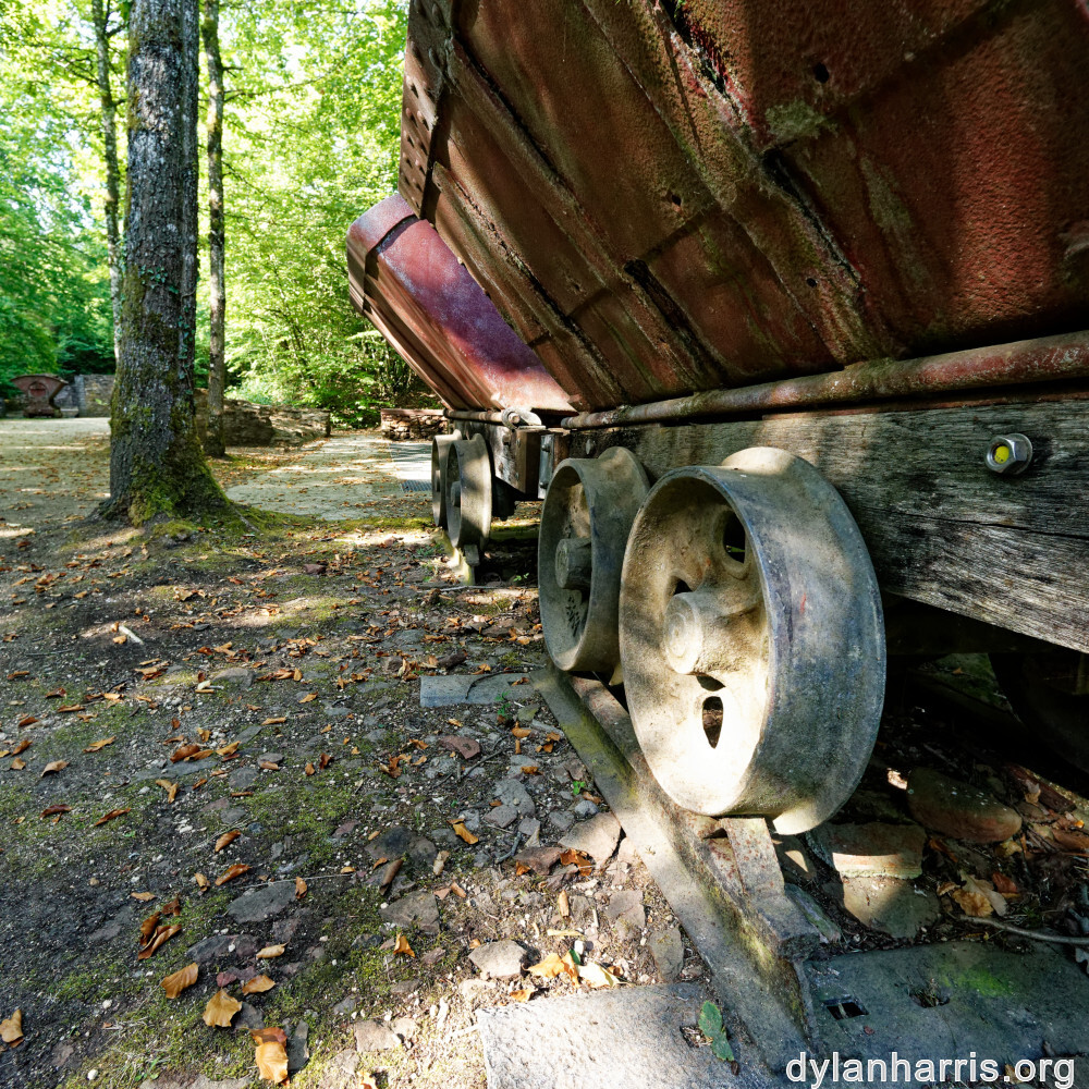 image: This is &lsquo;belvaux (x) 1&rsquo;.