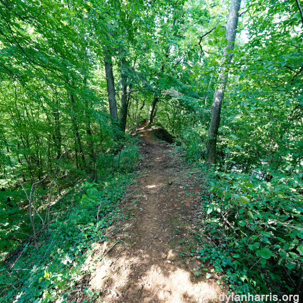 image: This is &lsquo;belvaux (x) 2&rsquo;.