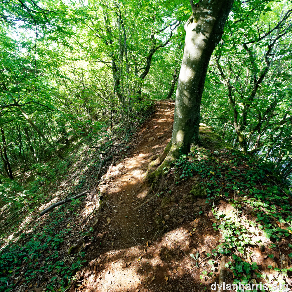 image: This is &lsquo;belvaux (x) 3&rsquo;.