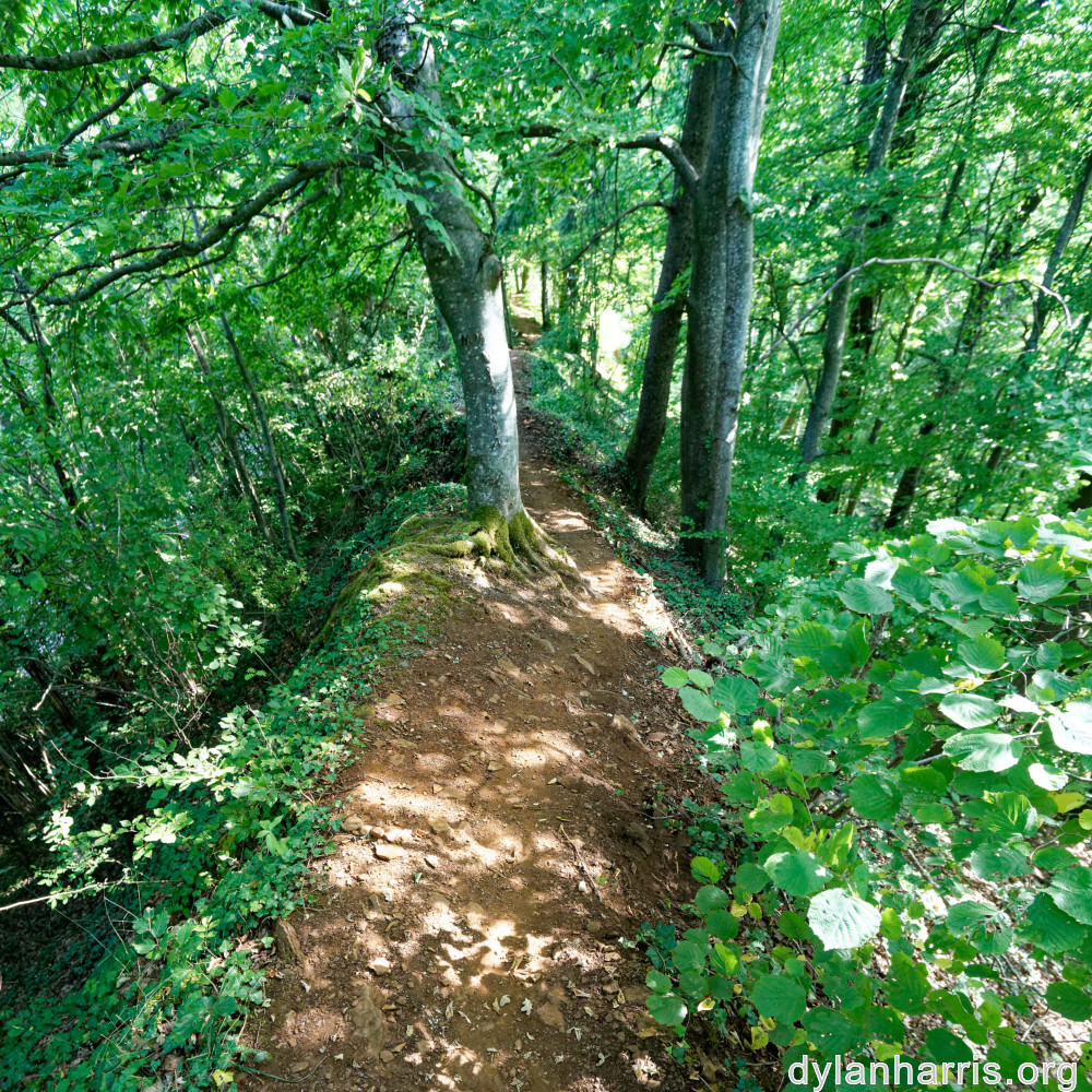 image: This is &lsquo;belvaux (x) 4&rsquo;.