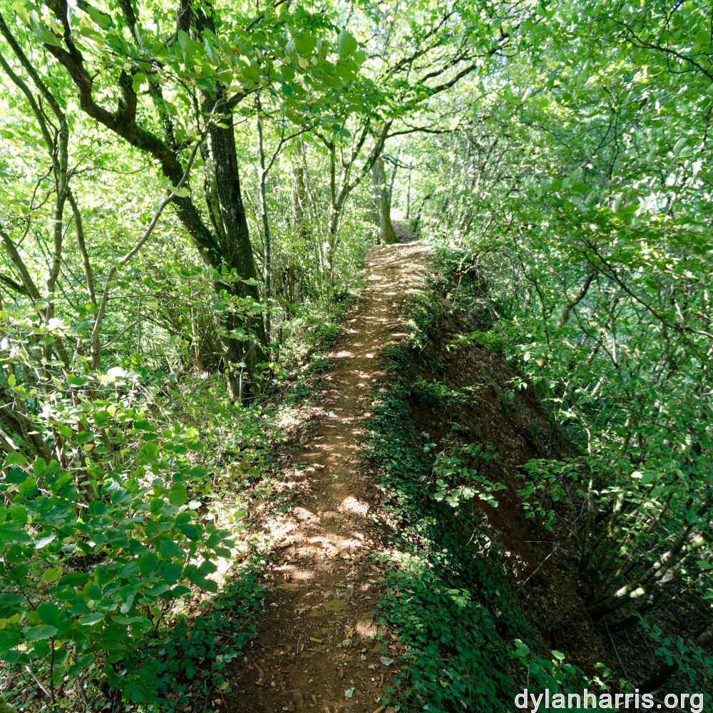 image: This is &lsquo;belvaux (x) 5&rsquo;.