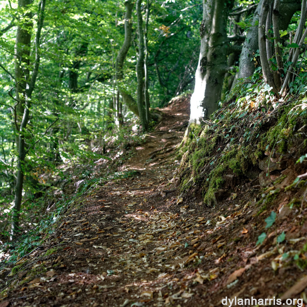 image: This is &lsquo;belvaux (x) 6&rsquo;.