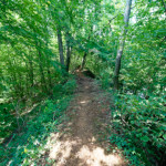 image: Image from the photoset &lsquo;belvaux (x)&rsquo;.