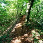 image: Image from the photoset &lsquo;belvaux (x)&rsquo;.