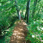 image: Image from the photoset &lsquo;belvaux (x)&rsquo;.