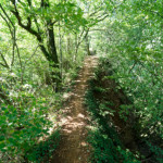 image: Image from the photoset &lsquo;belvaux (x)&rsquo;.