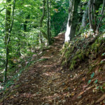 image: Image from the photoset &lsquo;belvaux (x)&rsquo;.