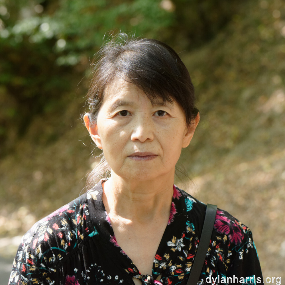 image: This is &lsquo;L (xxxix) 3&rsquo;.