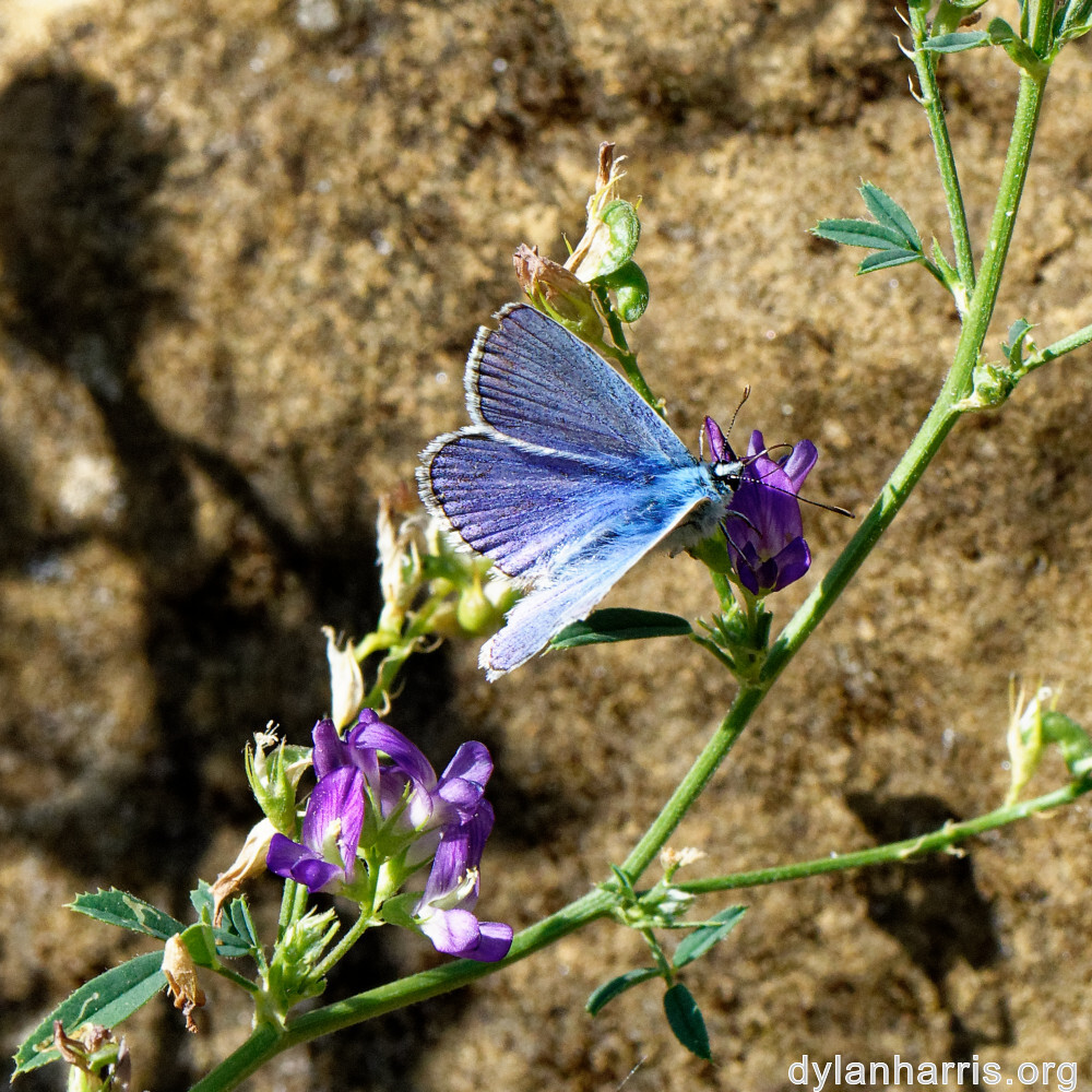 image: This is &lsquo;rumelange 5&rsquo;.