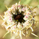 image: Image from the photoset &lsquo;rumelange (xii)&rsquo;.