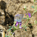 image: Image from the photoset &lsquo;rumelange (xii)&rsquo;.