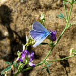 image: Image from the photoset &lsquo;rumelange (xii)&rsquo;.