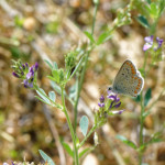 image: Image from the photoset &lsquo;rumelange (xii)&rsquo;.