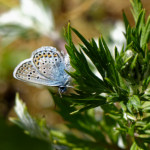 image: Image from the photoset &lsquo;rumelange (xii)&rsquo;.