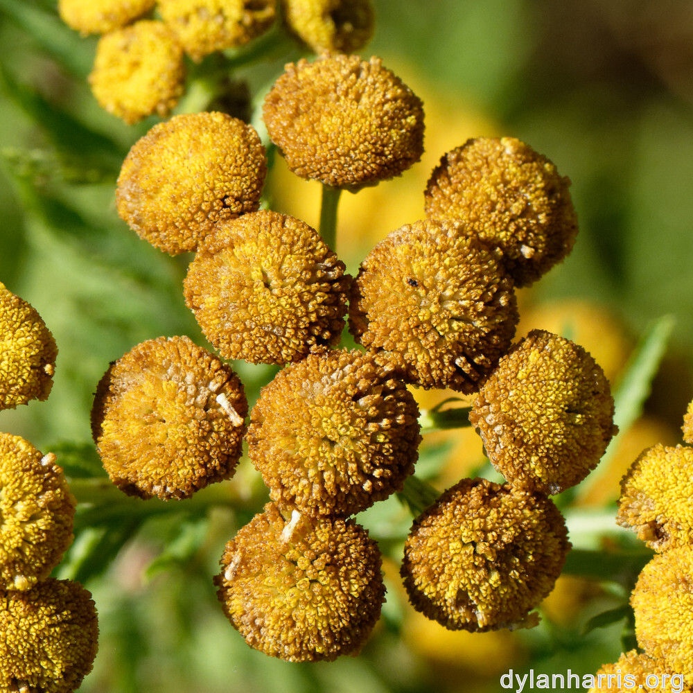 image: This is &lsquo;rumelange 1&rsquo;.