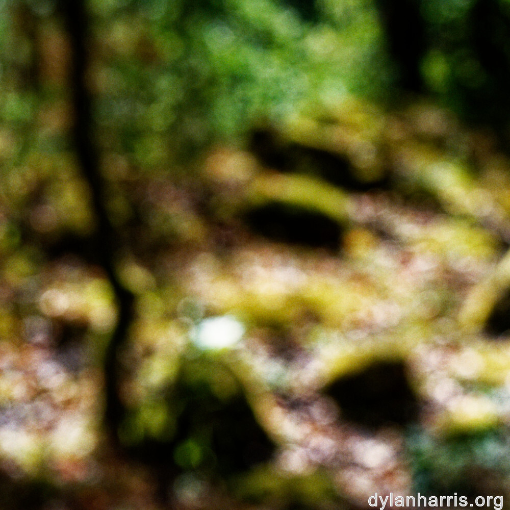 image: This is &lsquo;rumelange 2&rsquo;.