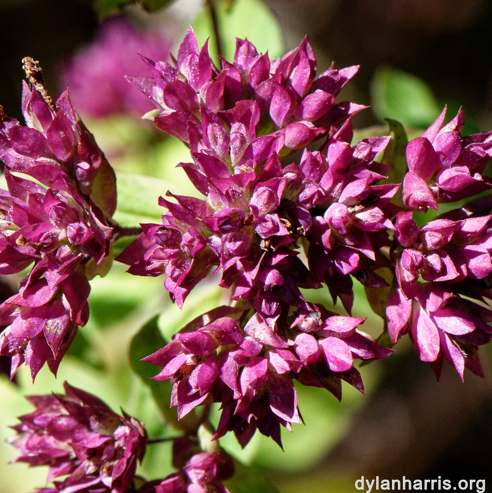 image: This is &lsquo;rumelange 3&rsquo;.