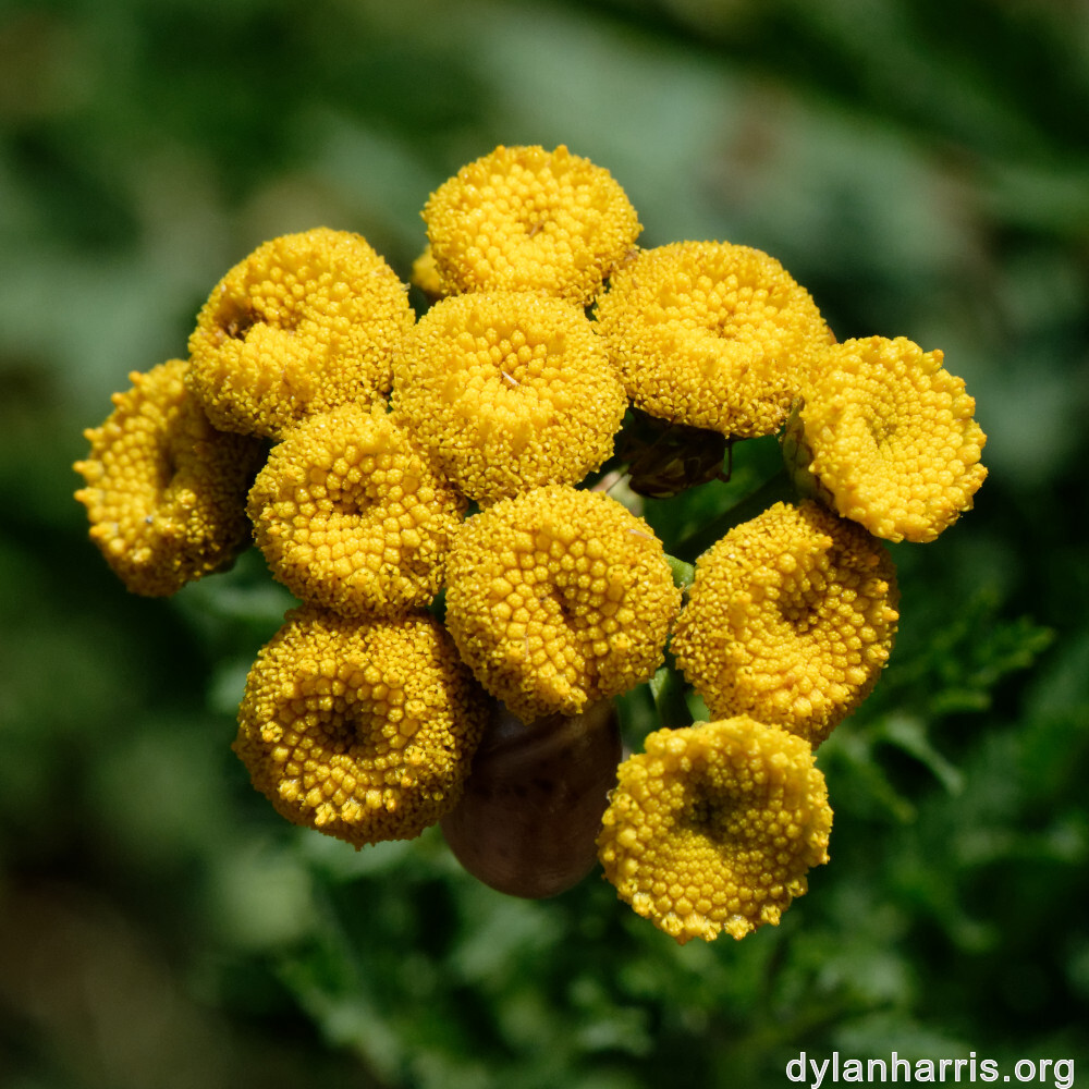 image: This is &lsquo;rumelange 5&rsquo;.