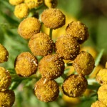 image: Image from the photoset &lsquo;rumelange (xiii)&rsquo;.