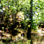 image: Image from the photoset &lsquo;rumelange (xiii)&rsquo;.