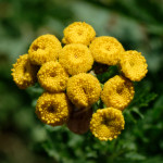 image: Image from the photoset &lsquo;rumelange (xiii)&rsquo;.