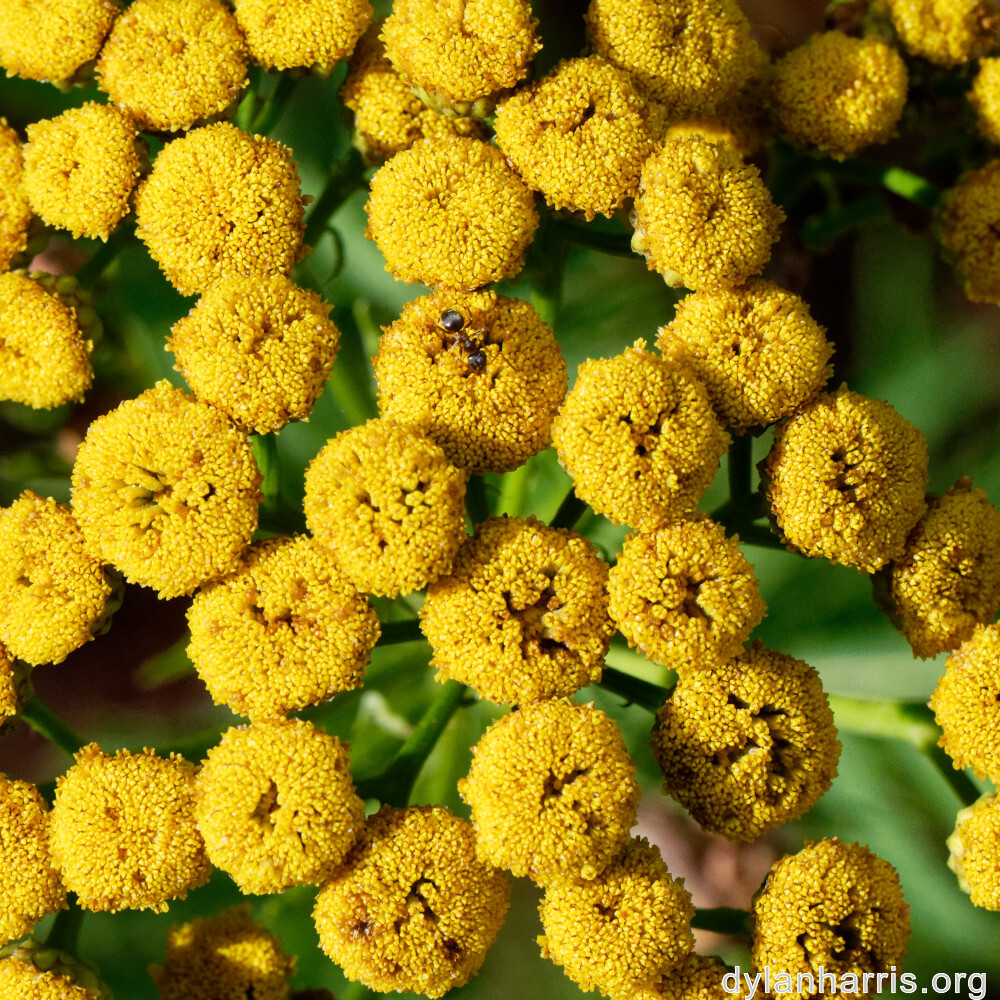 image: This is &lsquo;rumelange 1&rsquo;.