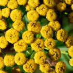 image: Image from the photoset &lsquo;rumelange (xiv)&rsquo;.