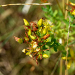 image: Image from the photoset &lsquo;rumelange (xiv)&rsquo;.