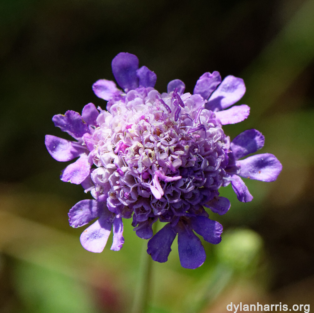 image: This is &lsquo;rumelange 3&rsquo;.