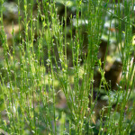 image: Image from the photoset &lsquo;rumelange (xv)&rsquo;.