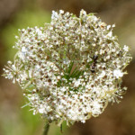 image: Image from the photoset &lsquo;rumelange (xv)&rsquo;.